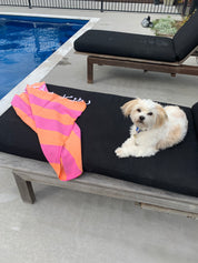 Orange and hot pink Turkish Towel with white tassels on sun bed by a pool with fluffy dog smiling at the camera and relaxing near by.